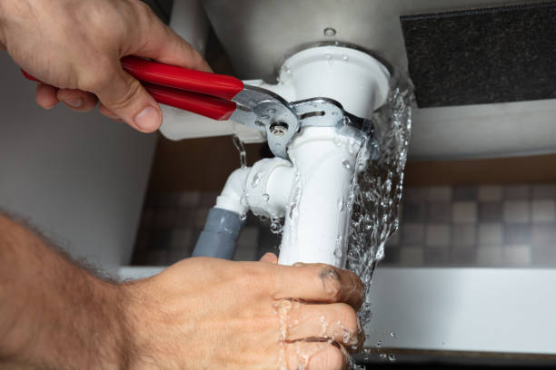 Best Mold removal after water damage  in Walnut Ridge, AR
