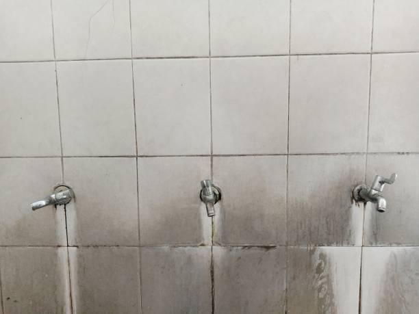 Best 24/7 water damage repair  in Walnut Ridge, AR