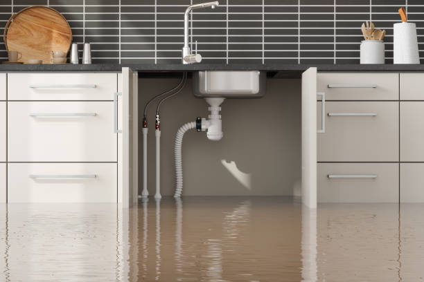  Walnut Ridge, AR Water damage restoration Pros