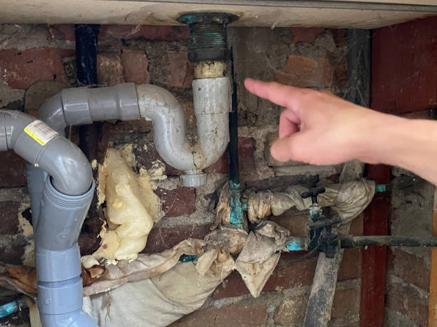 Best Flooded house restoration  in Walnut Ridge, AR